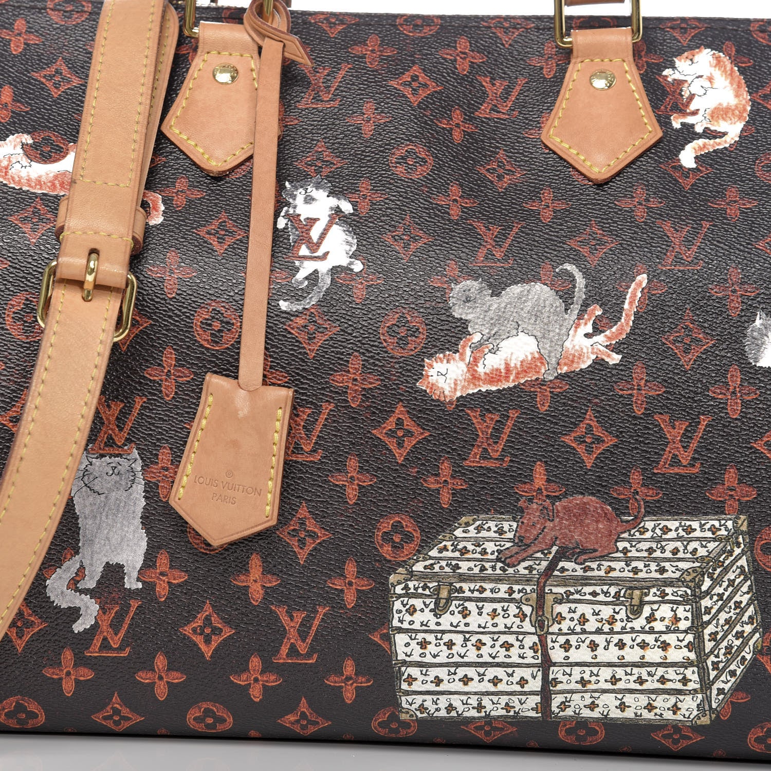 Louis Vuitton Catogram Speedy Bandouliere 30 Marron 12 of 12