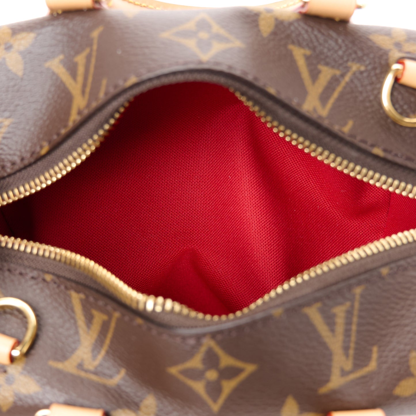 Monogram Nano Speedy Dating