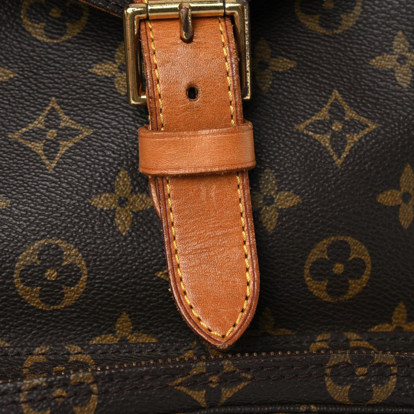 Monogram Montsouris GM Backpack