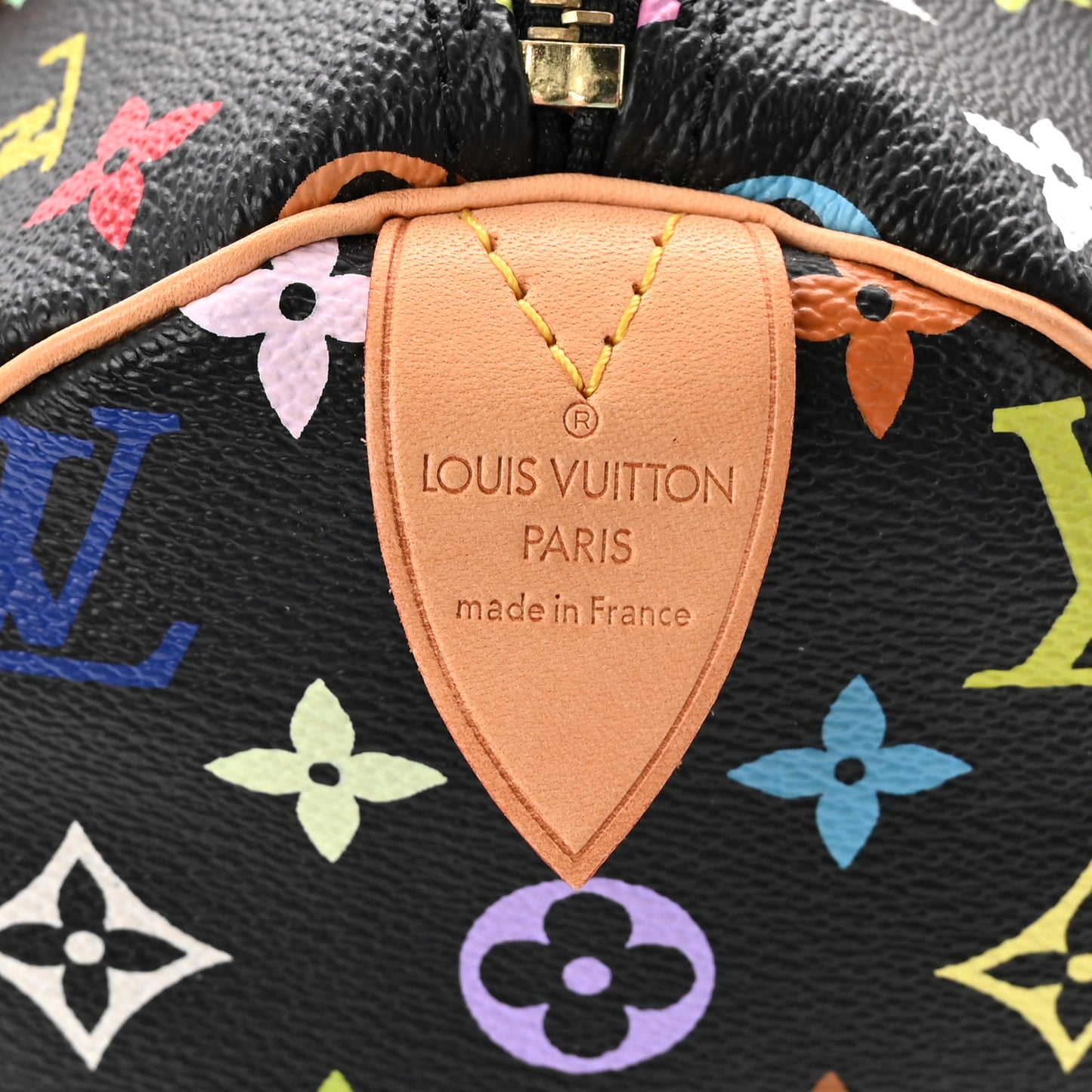 Monogram Multicolor Speedy 30 Black