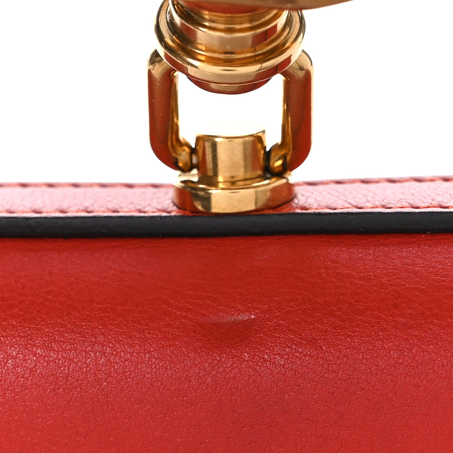 Calfskin Small Nile Bracelet Bag Earthy Red