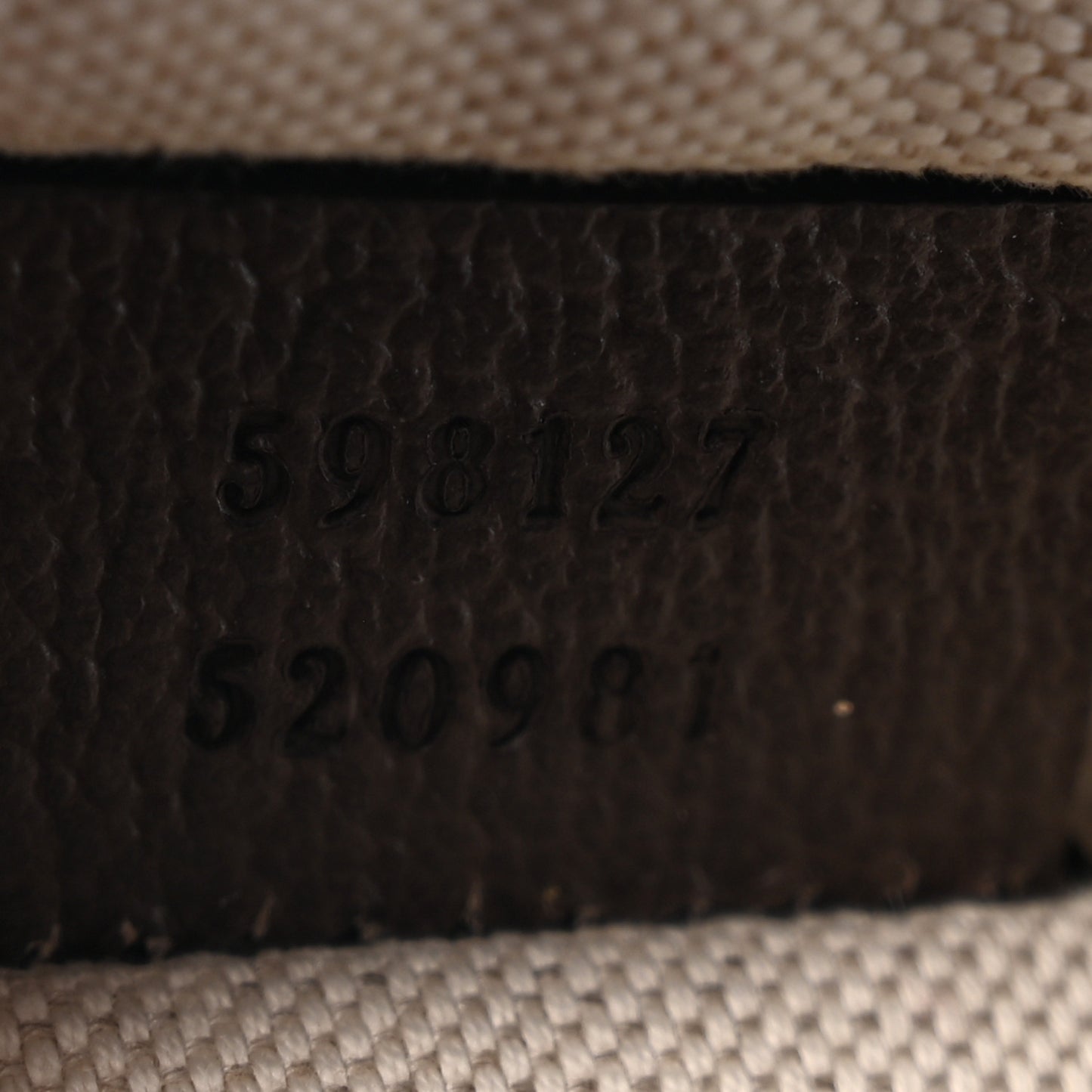 GG Supreme Monogram Web Mini Ophidia Messenger Brown