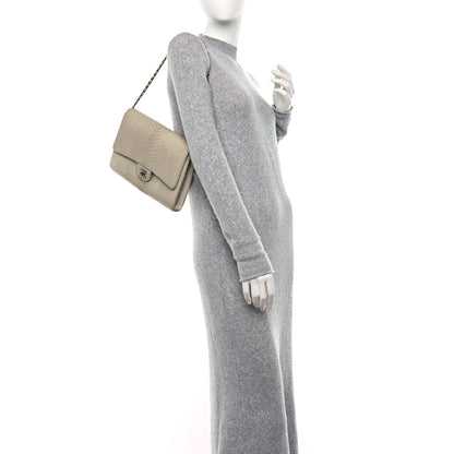 Chanel Snakeskin Clutch With Chain Flap Light Grey 2 of 13