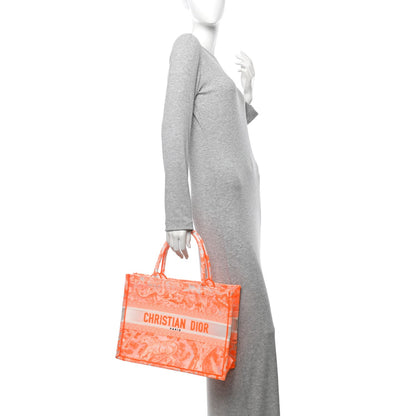 Christian Dior Transparent Canvas Embroidered Medium Dioriviera Toile De Jouy Book Tote 2 of 11