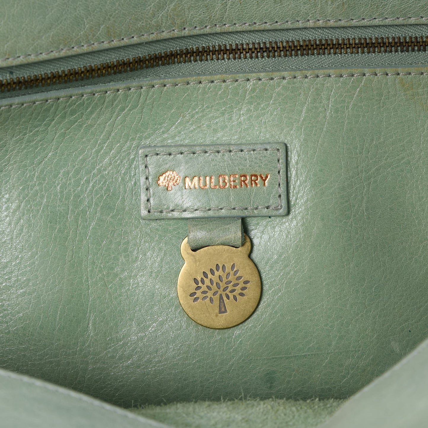 Calfskin Roxanne Satchel Green