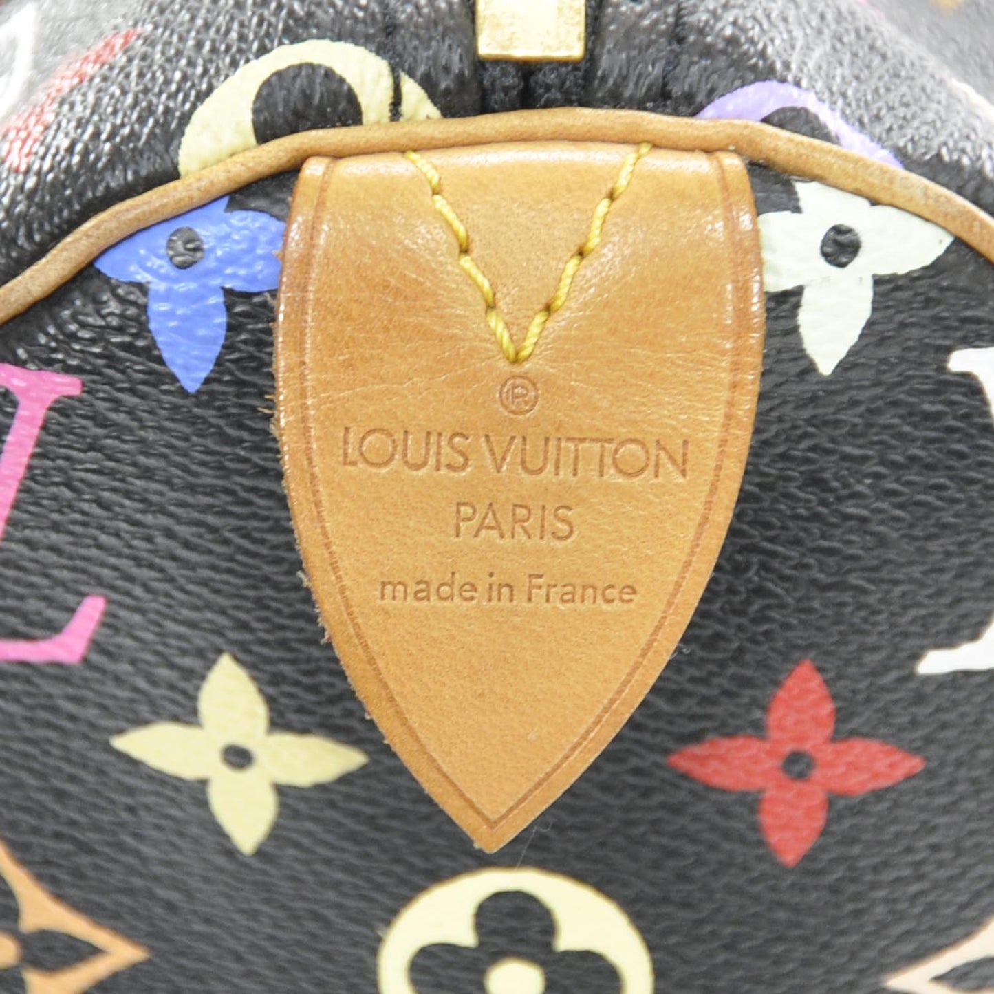 Monogram Multicolor Speedy 30 Black