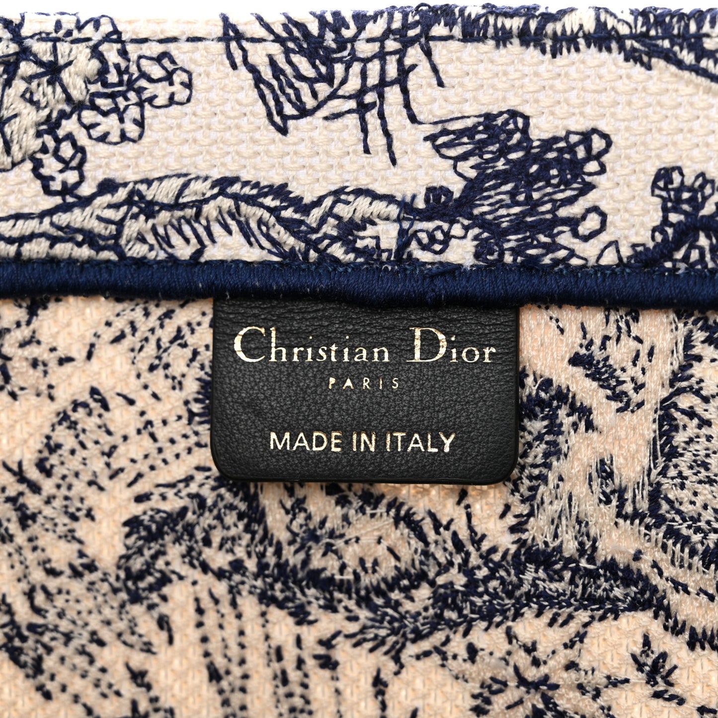 Canvas Embroidered Medium Dioriviera Toile De Jouy Book Tote Blue