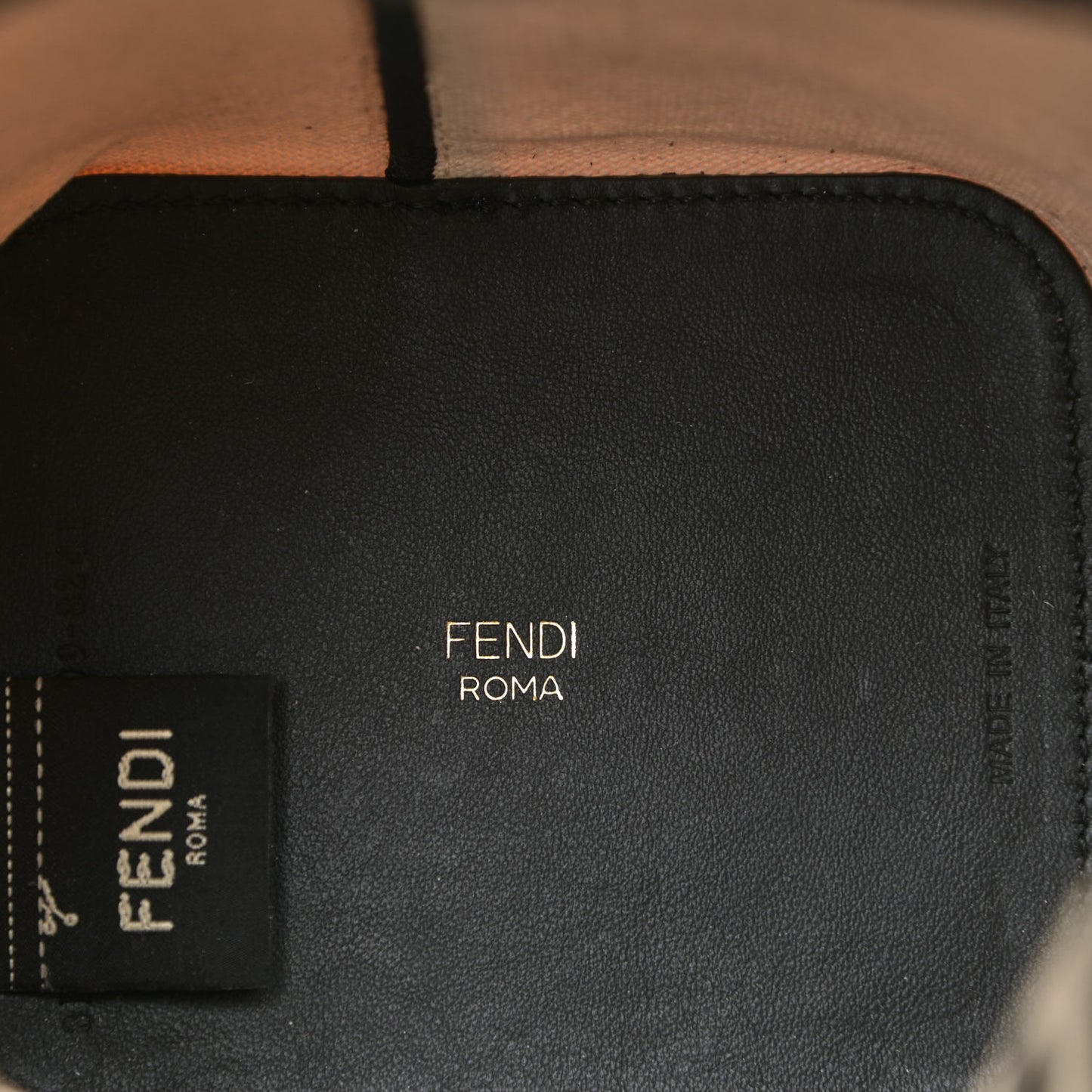 Canvas Vitello Grace F is Fendi Logo Embroidered Mini Mon Tresor Bucket Bag Grezzo Black