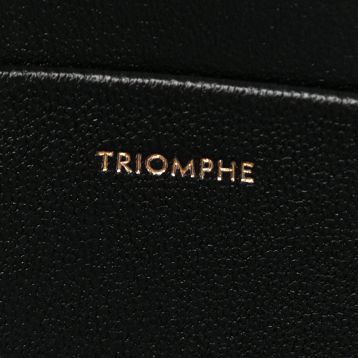Shiny Calfskin Medium Triomphe Black