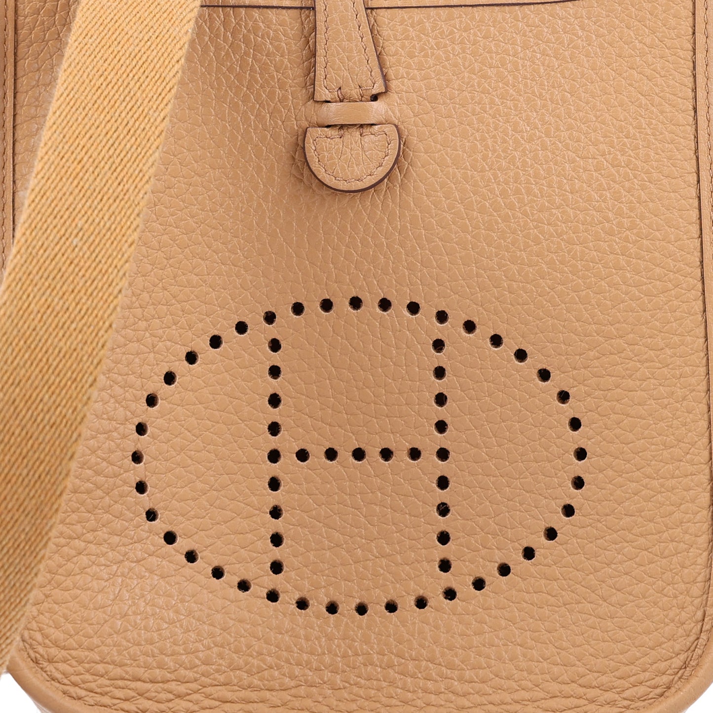 Taurillon Clemence Evelyne TPM Biscuit