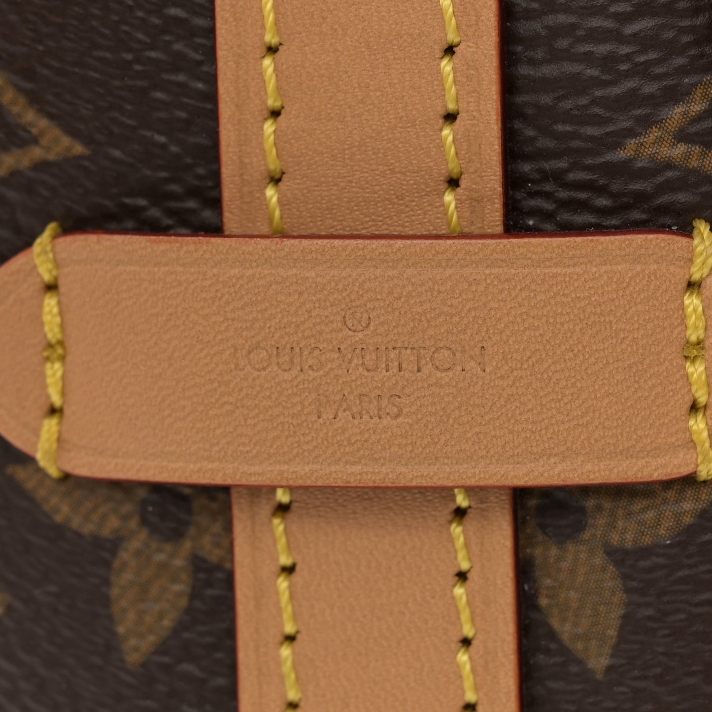 Monogram CarryAll PM