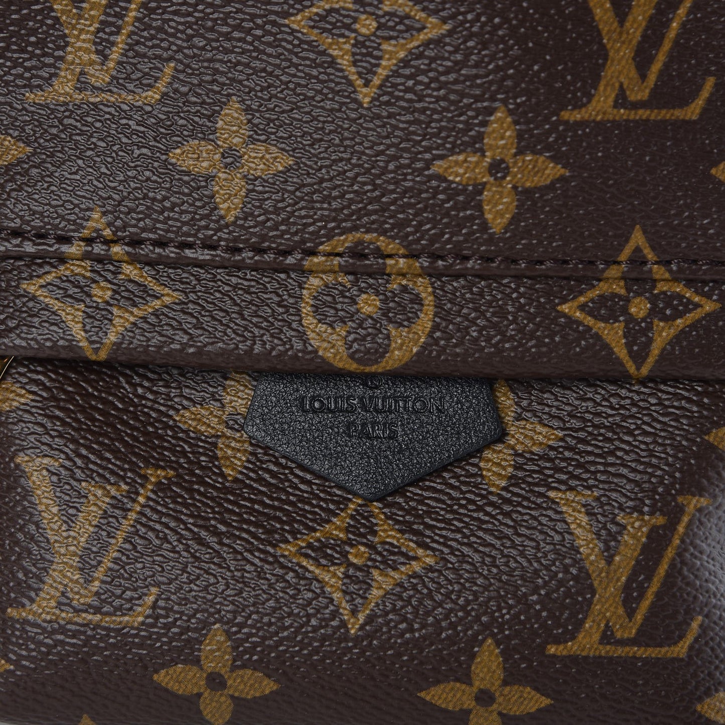 Monogram Palm Springs Backpack Mini
