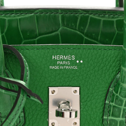 Hermes Togo Shiny Niloticus Crocodile Birkin Touch 25 Bambou Cactus 6 of 10