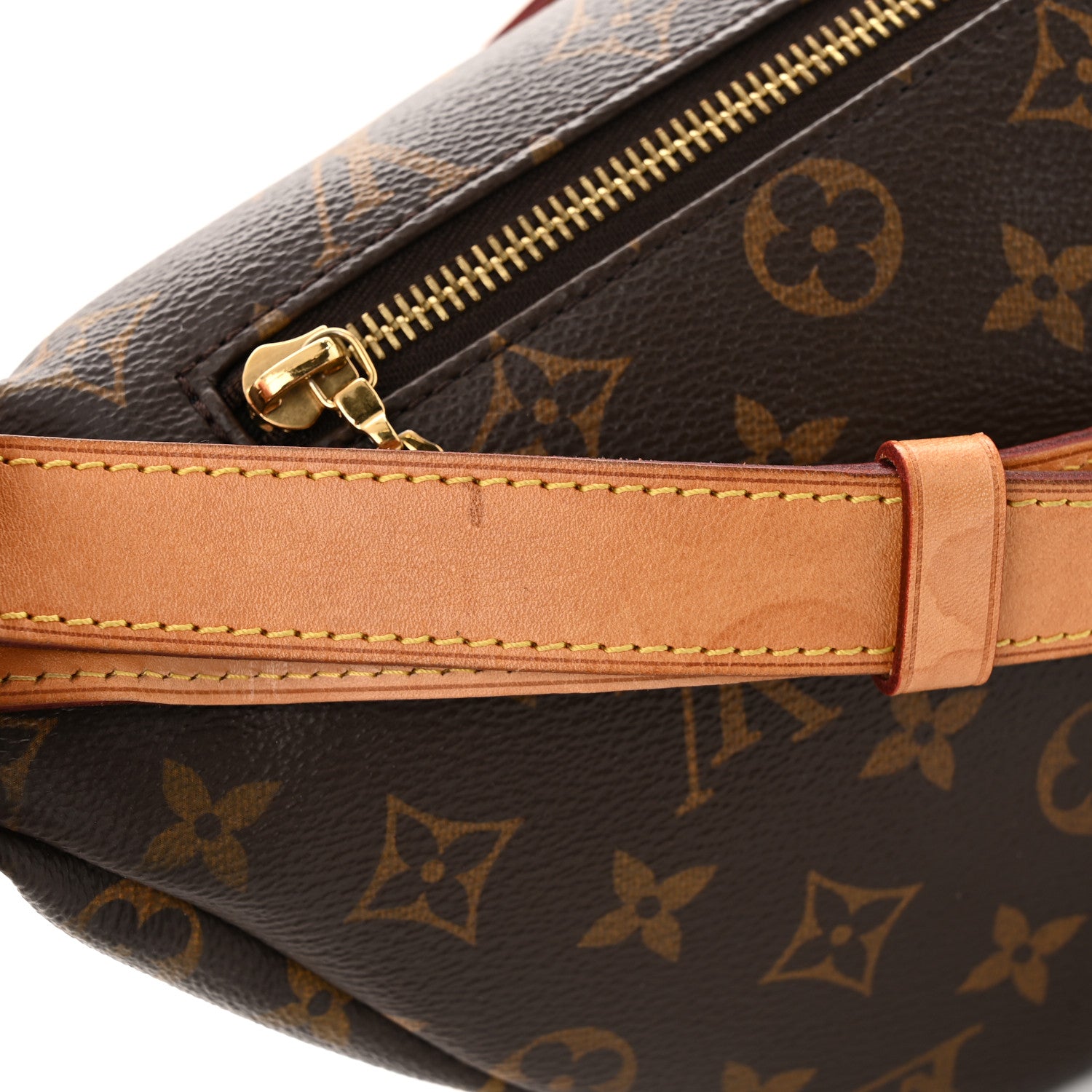 Louis Vuitton Monogram Bumbag 11 of 11