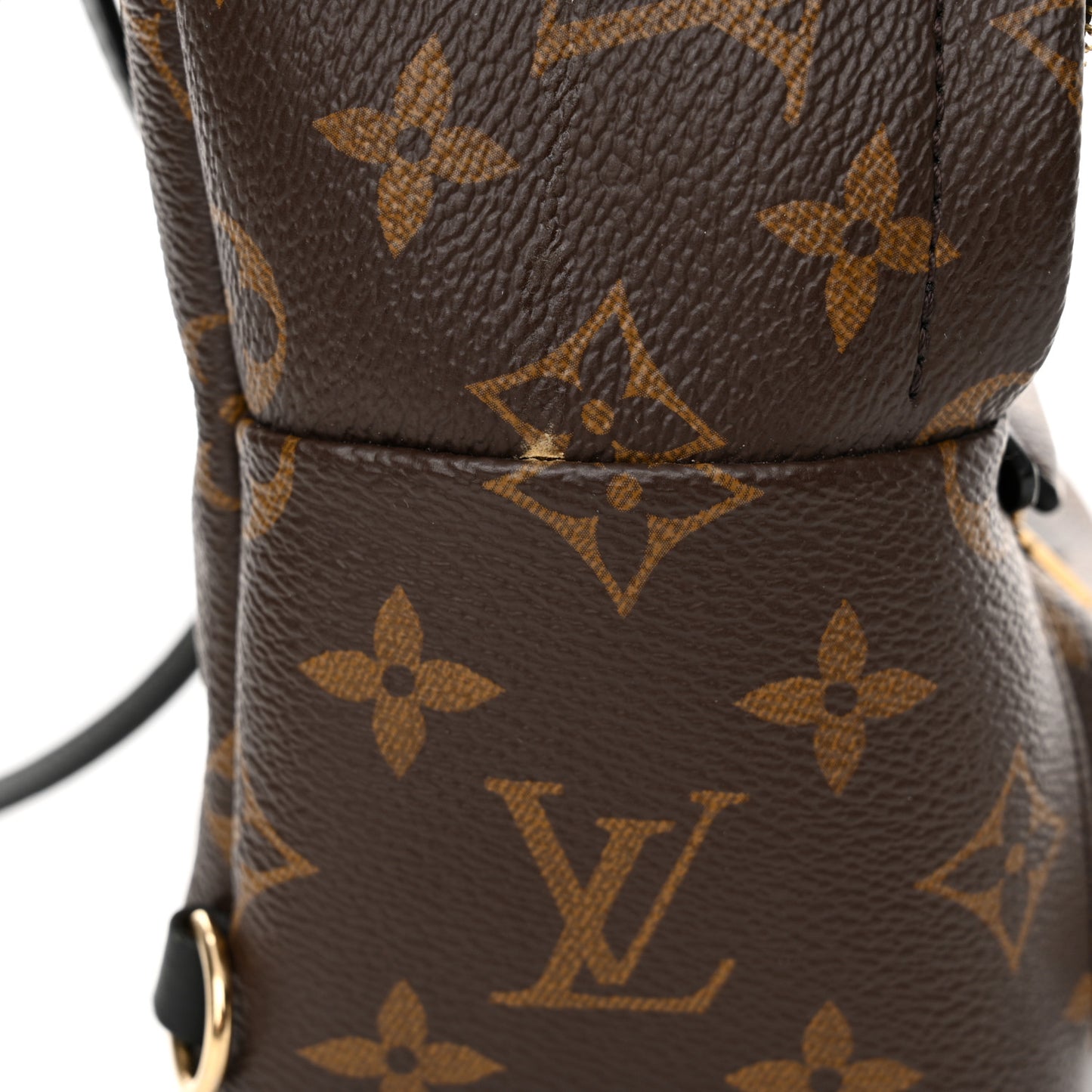 Monogram Palm Springs Backpack Mini