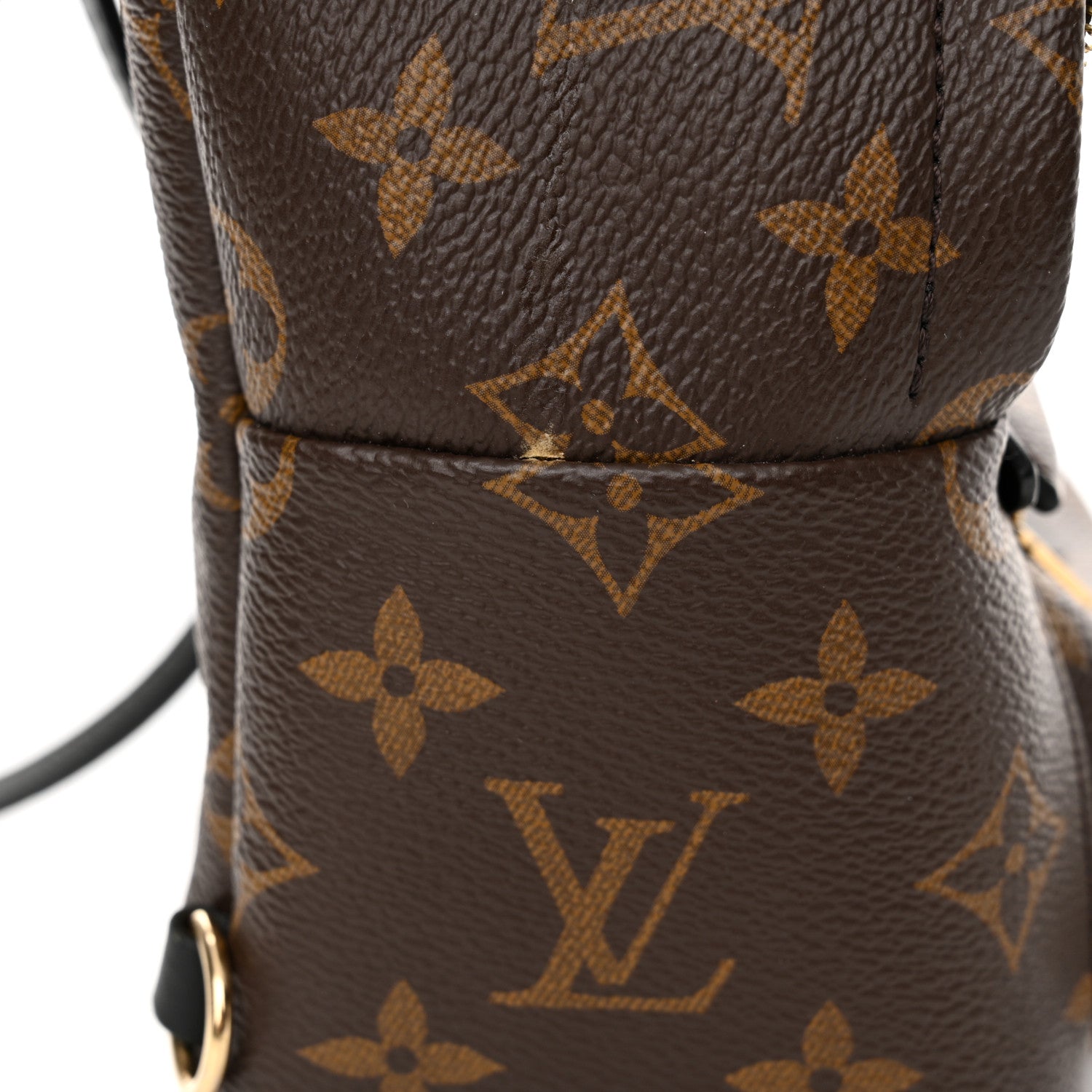 Louis Vuitton Monogram Palm Springs Backpack Mini 15 of 17