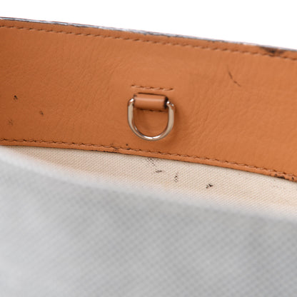 Louis Vuitton Calfskin Canvas V Bucket Bag GM 10 of 19