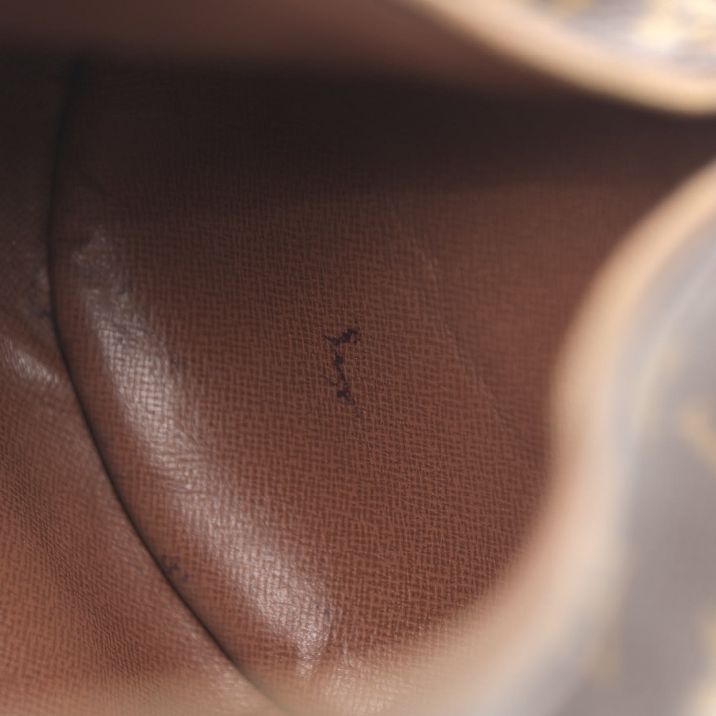 Monogram Papillon 30