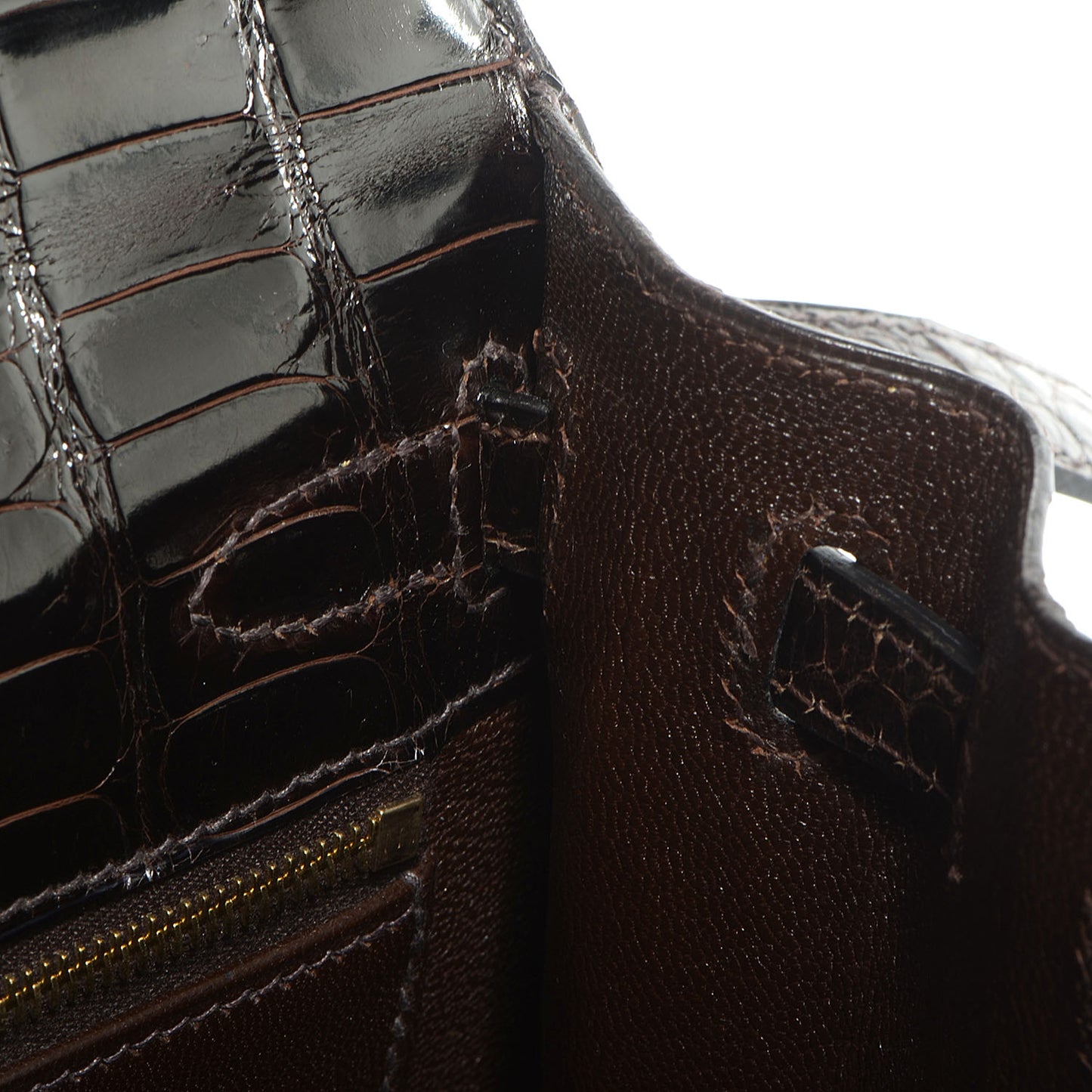 Shiny Porosus Crocodile Kelly Sellier 25 Cocoan