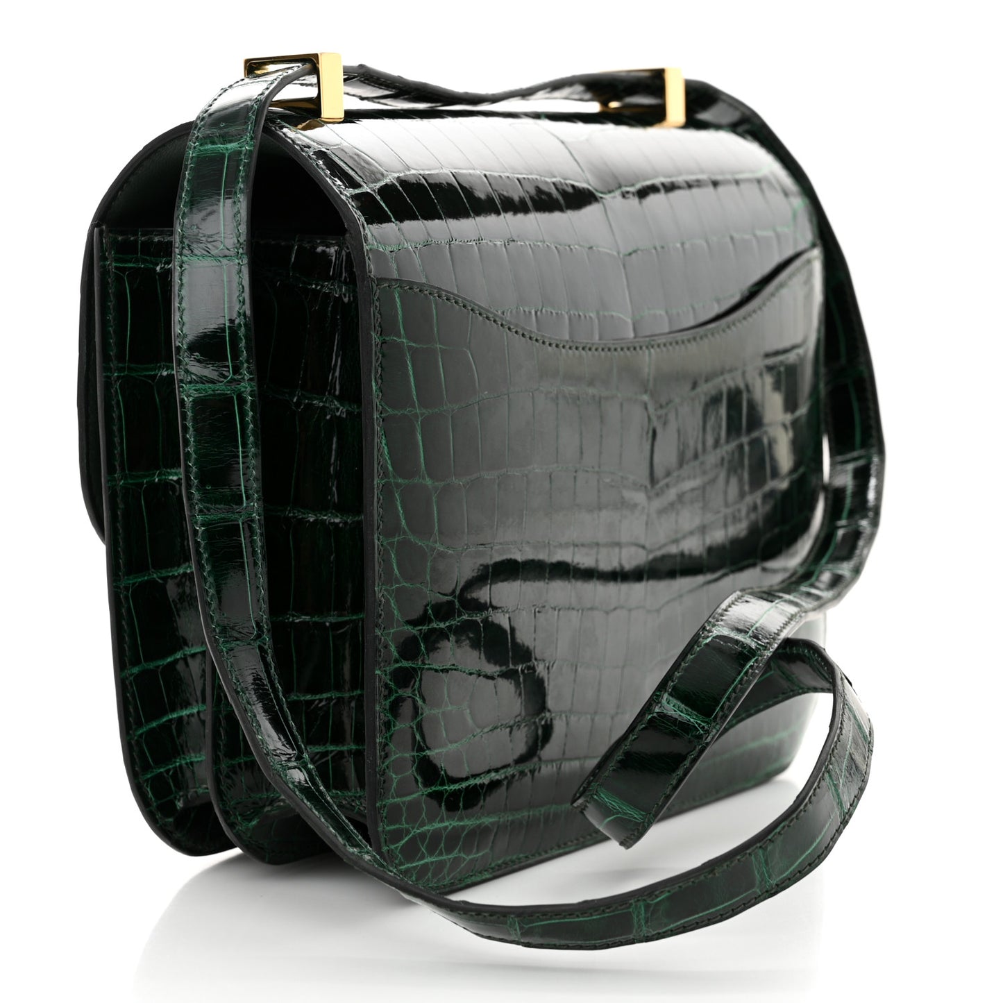 Shiny Niloticus Crocodile Constance 24 Vert Fonce