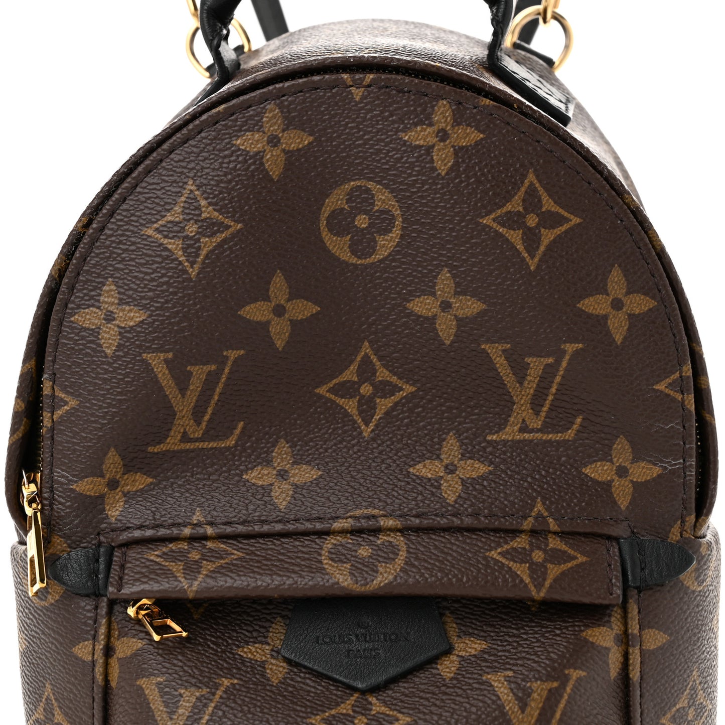 Monogram Palm Springs Backpack Mini