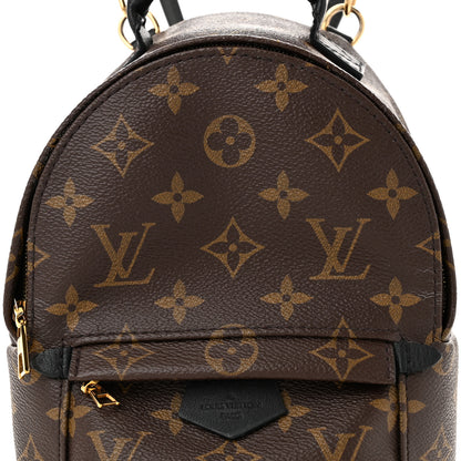 Louis Vuitton Monogram Palm Springs Backpack Mini 8 of 10