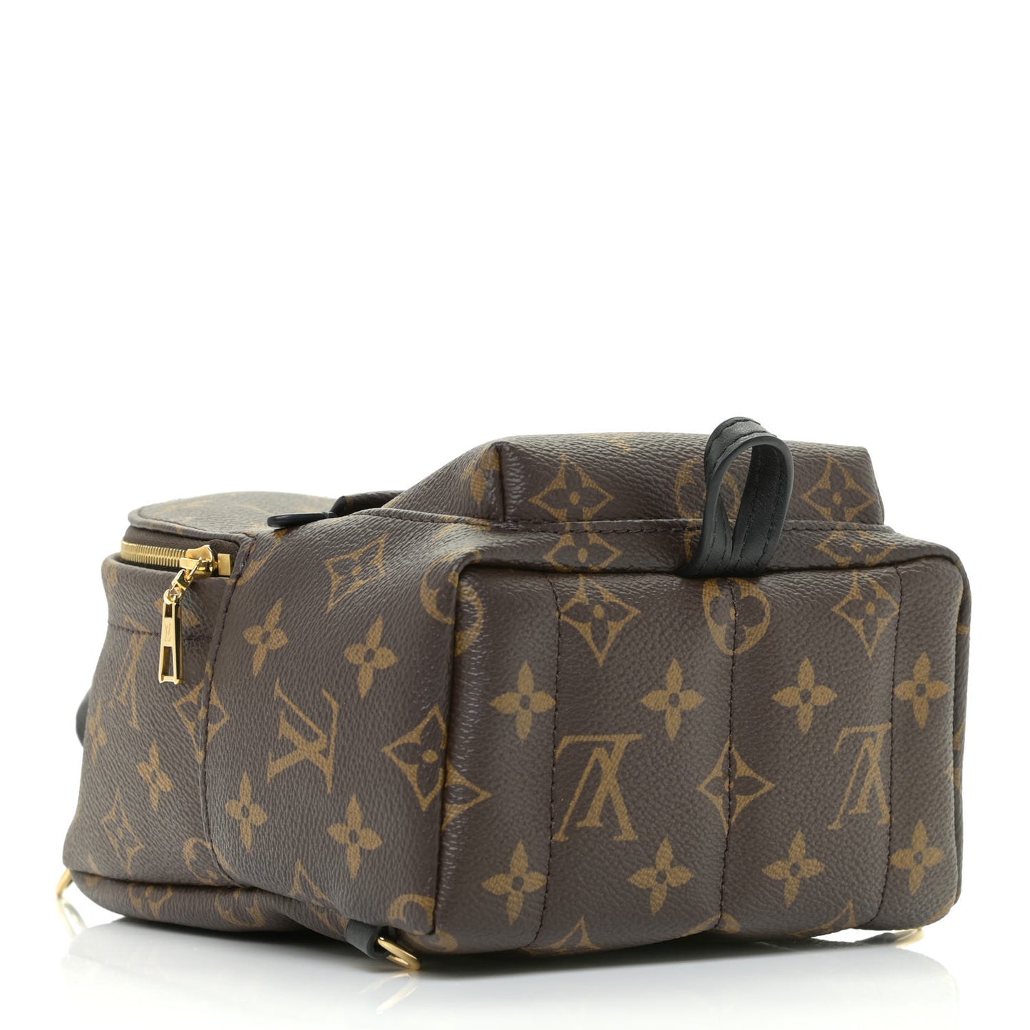 Monogram Palm Springs Backpack Mini