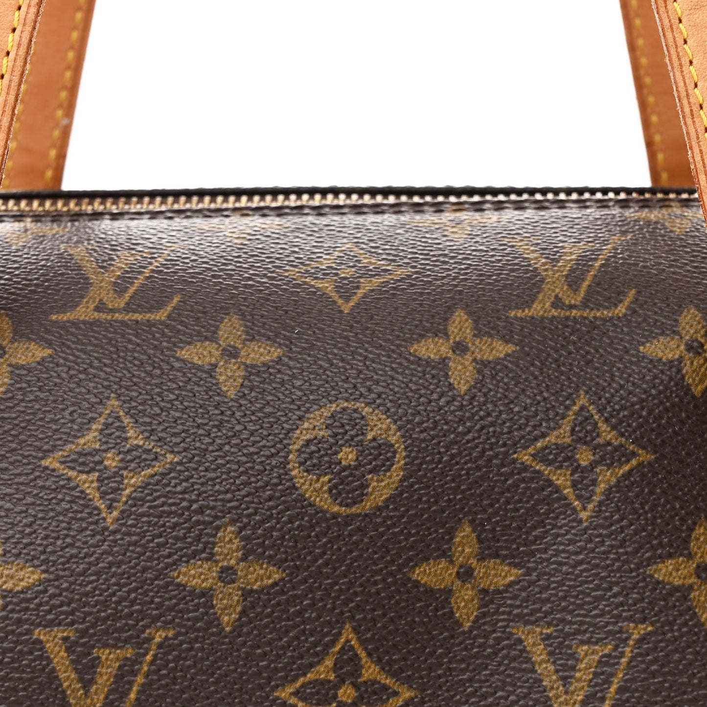 Monogram Papillon 30 with Companion