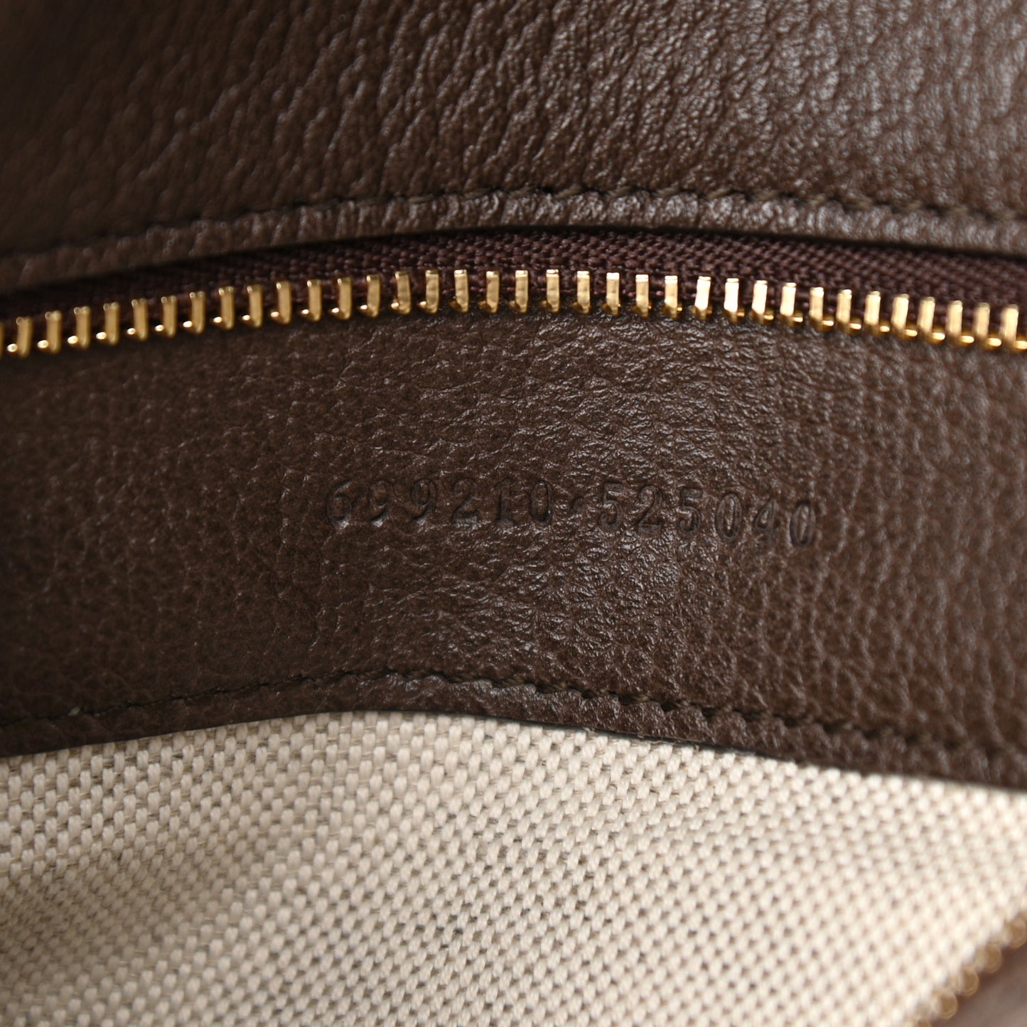 GG Supreme Monogram Textured Dollar Calfskin Web Medium Blondie Shoulder Flap Bag Beige Ebony New Acero