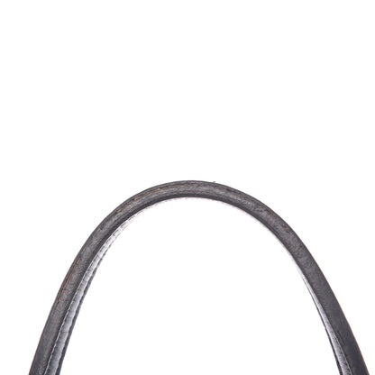 Goyard Goyardine Saint Louis PM Black 17 of 21