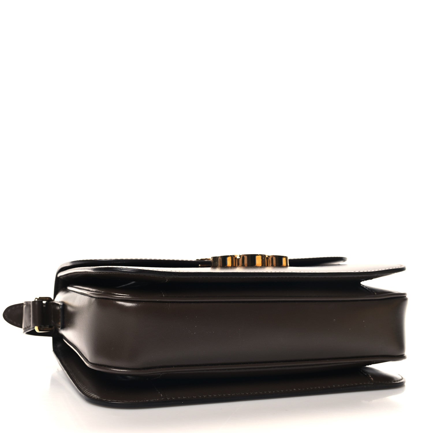 Celine Shiny Calfskin Medium Triomphe Ecorce 4 of 11