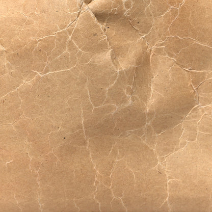 Bottega Veneta Carta The Mini Pouch Kraft 8 of 11