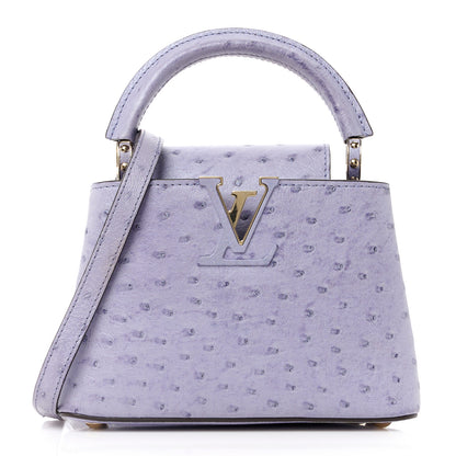 Louis Vuitton Ostrich Capucines Mini Grey 1 of 11