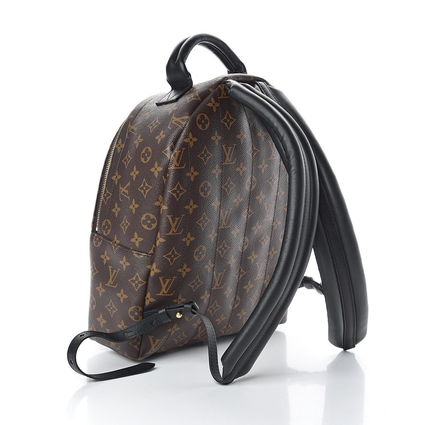 Monogram Palm Springs Backpack MM