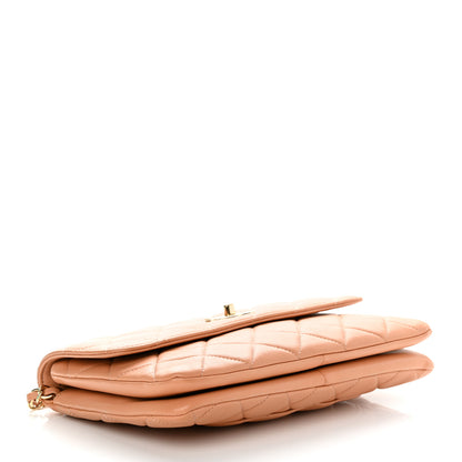 Chanel Lambskin Quilted Medium Trendy CC Flap Beige 4 of 17