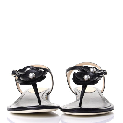 Chanel Calfskin Camellia Thong Sandals 38.5 Black 2 of 4
