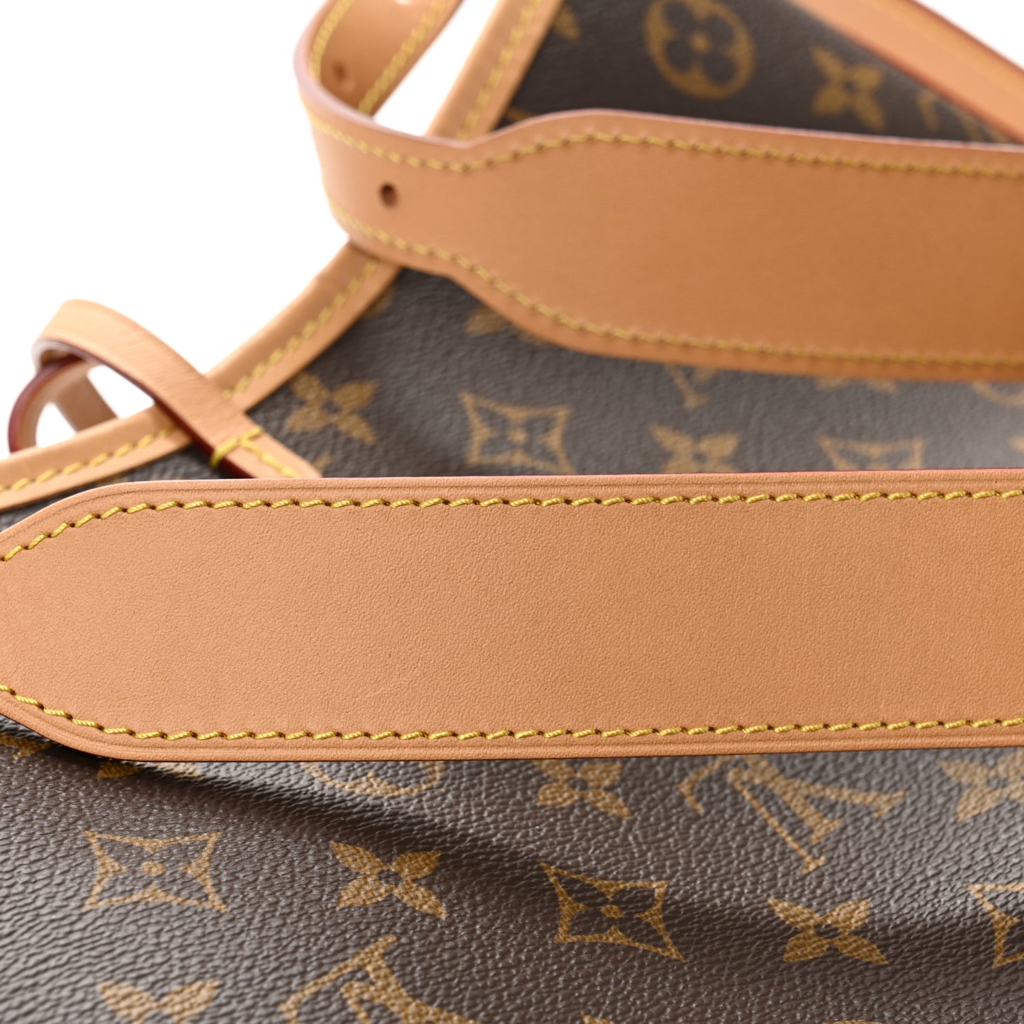 Monogram Carryall PM