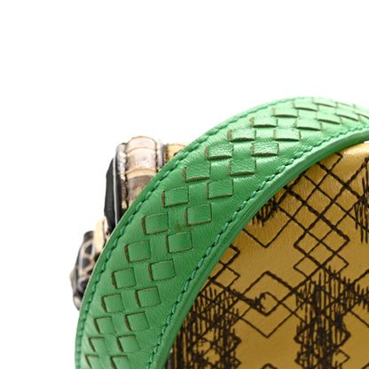 Bottega Veneta Lambskin Snakeskin Irish Madras Intrecciato Rialto Shoulder Bag Brown Green Multicolor 12 of 14