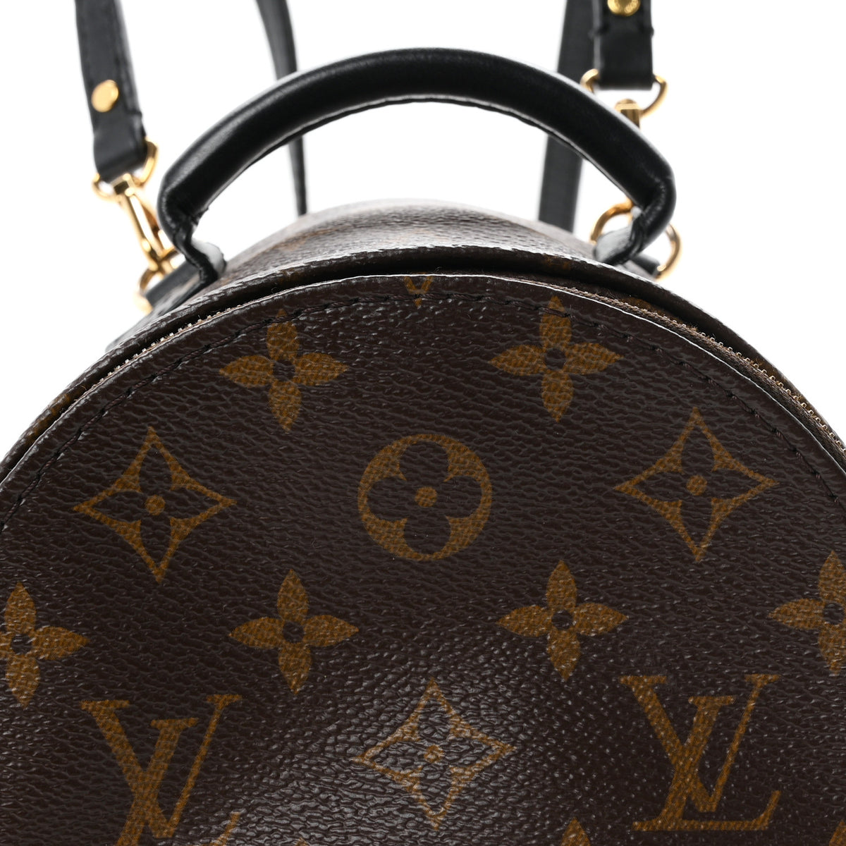 Louis Vuitton Monogram Palm Springs Backpack Mini 15 of 21