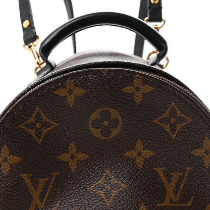 Louis Vuitton Monogram Palm Springs Backpack Mini 15 of 21