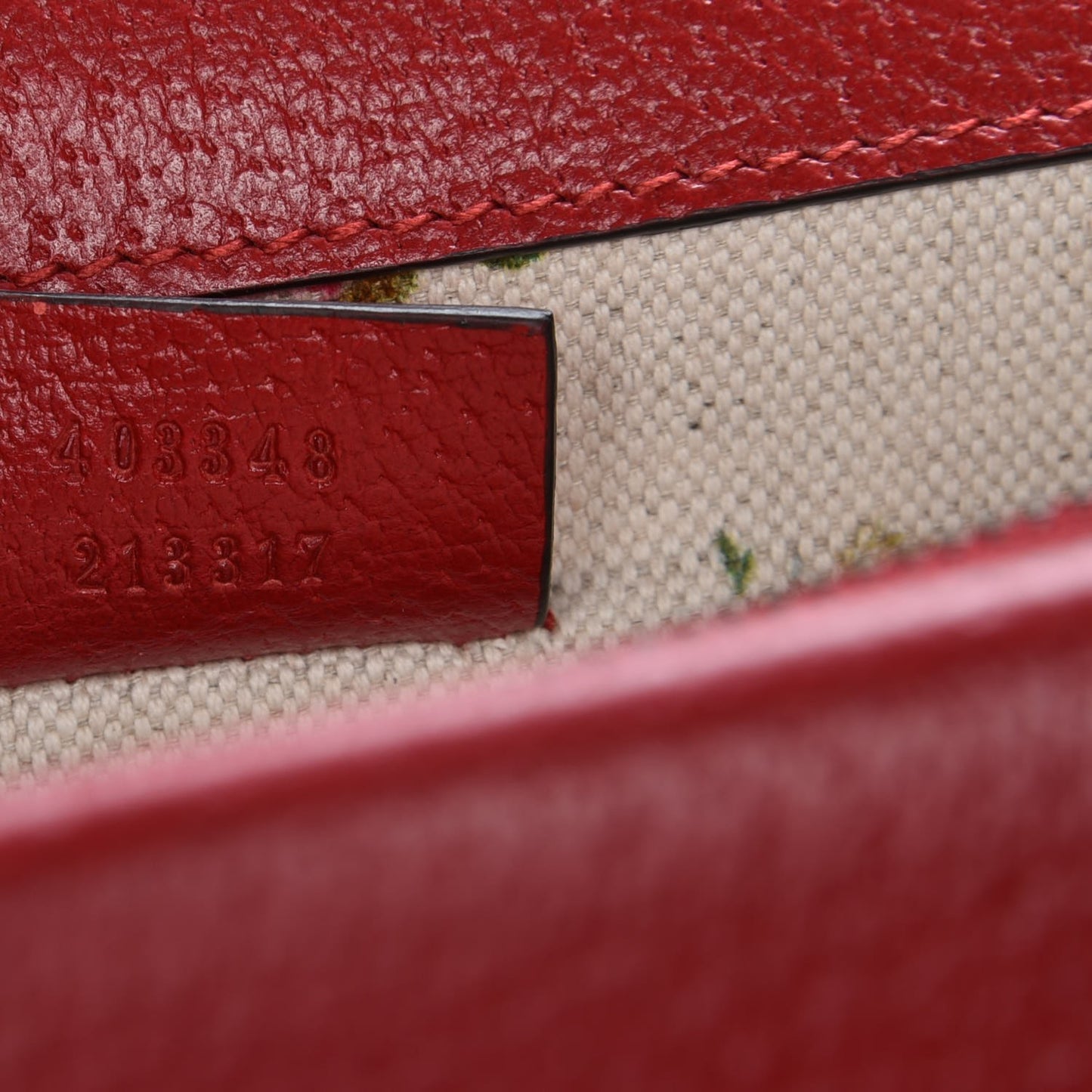 Textured Calfskin Web Medium Dionysus Shoulder Bag Hibiscus Red