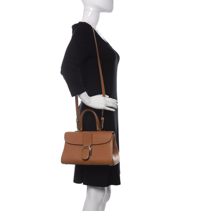 Delvaux Calfskin Mini Brillant East West Satchel Natural 2 of 12