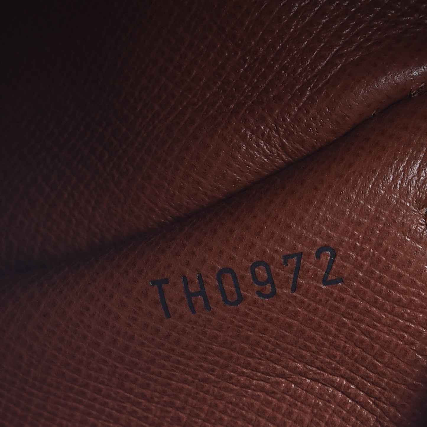 Monogram Papillon 30 With Companion