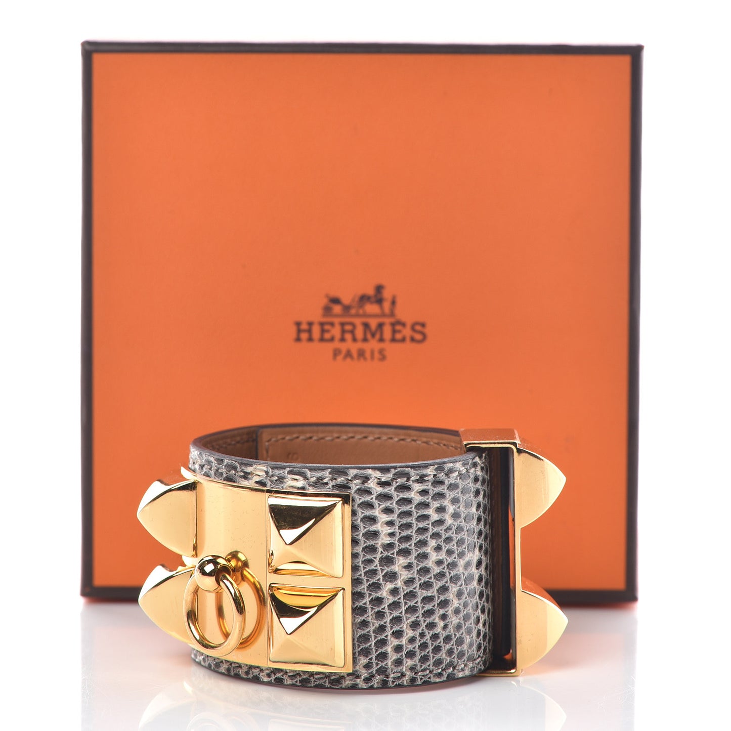 Lizard Collier De Chien CDC Bracelet T2 Ombre