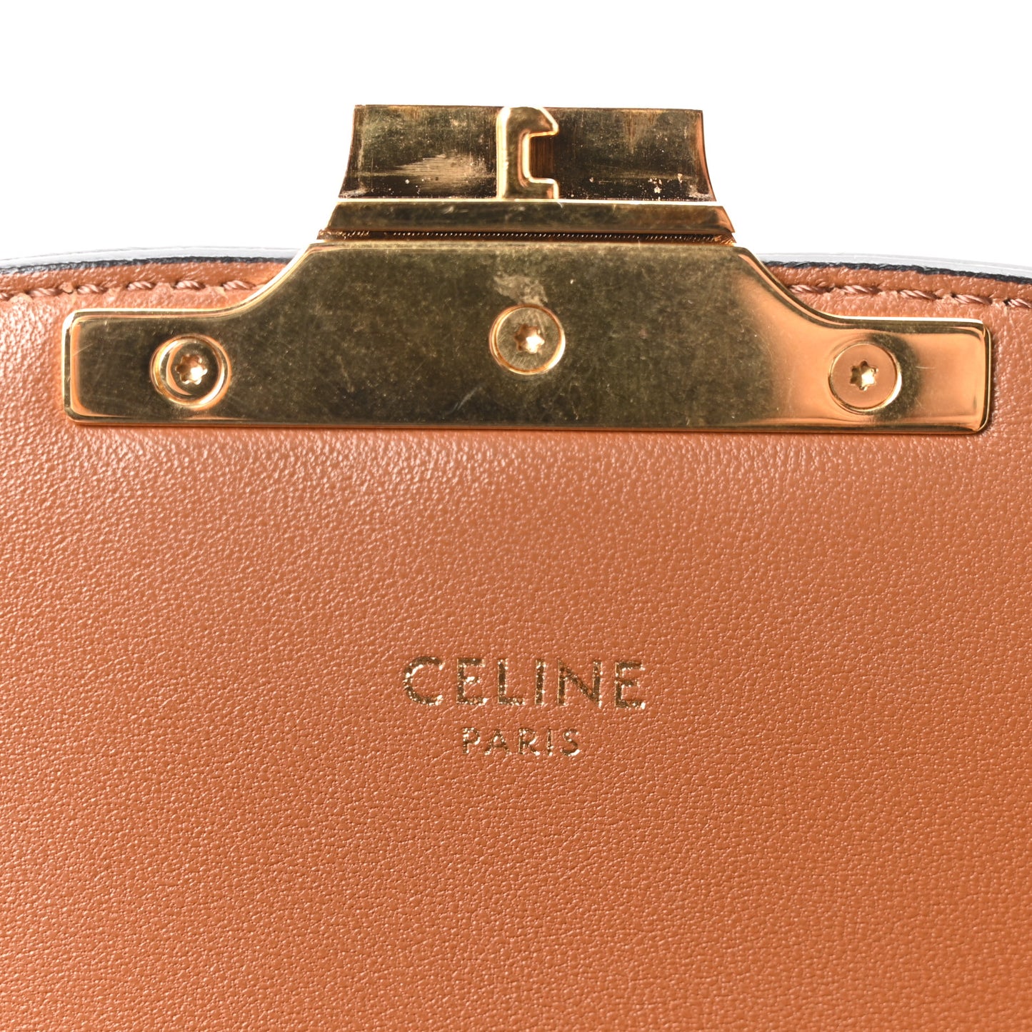 Calfskin Triomphe Canvas Teen Triomphe Bag Tan