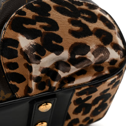 Louis Vuitton Monogram Leopard Polly 15 of 15