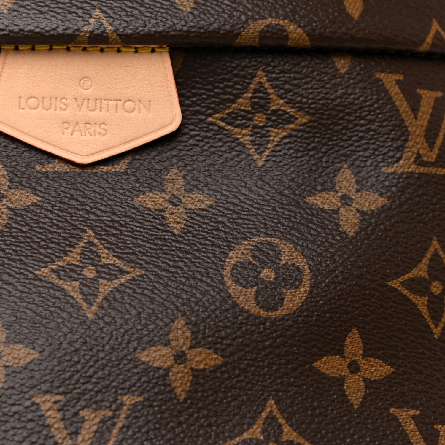 Louis Vuitton Monogram Bumbag 7 of 12