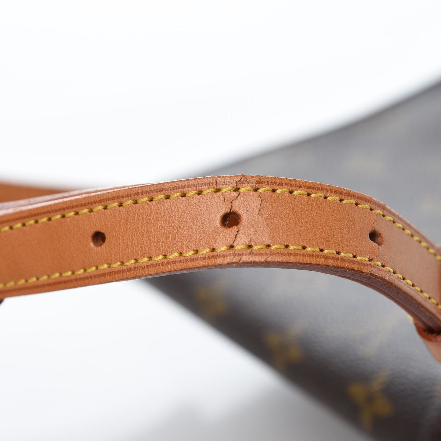 Monogram Musette Salsa