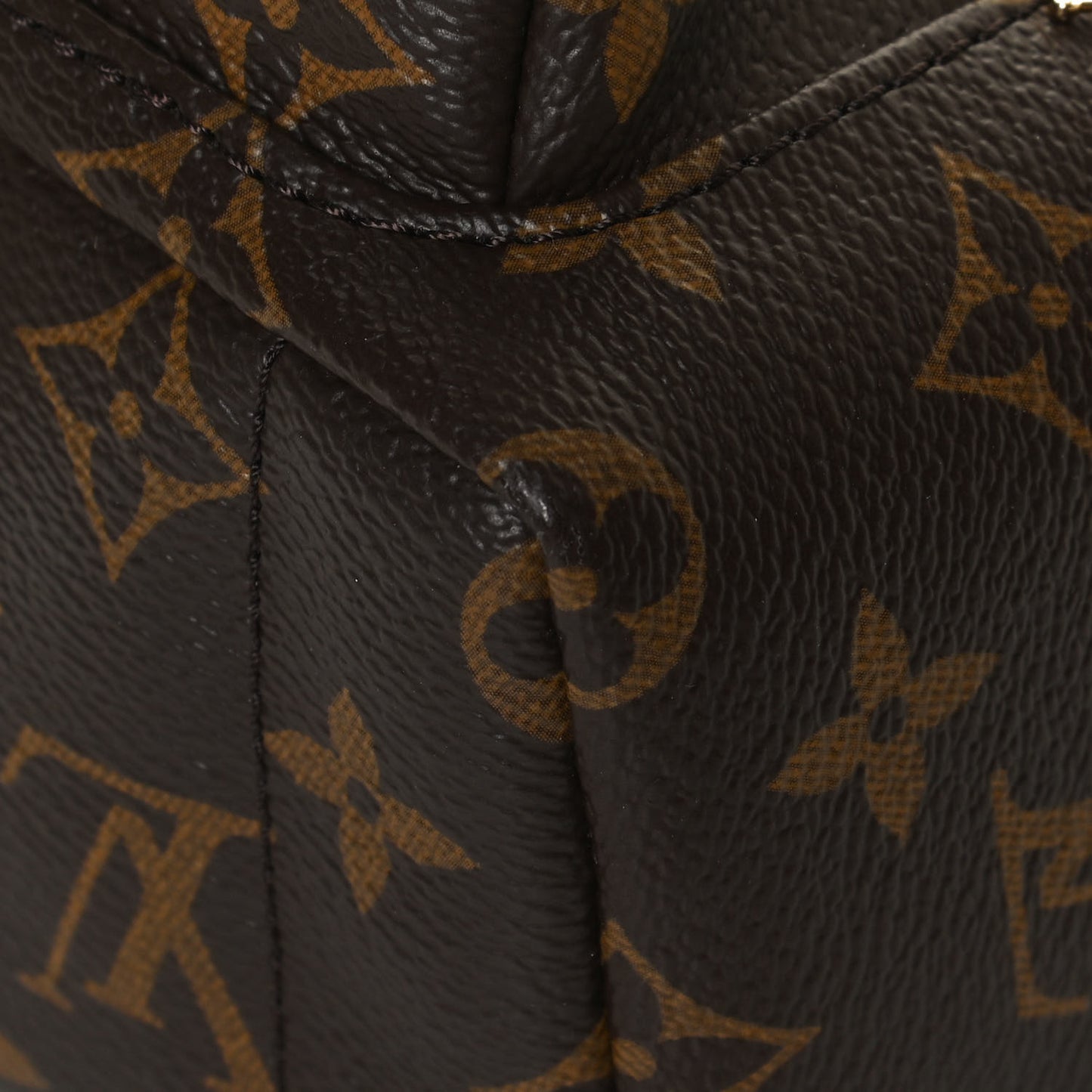 Monogram Palm Springs Backpack Mini