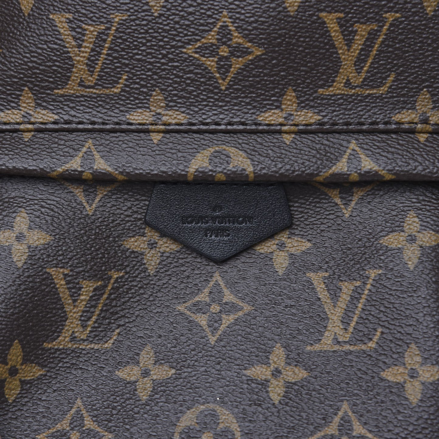 Monogram Palm Springs Backpack PM